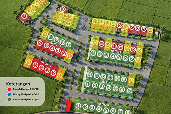 Detail Siteplan Marigold
